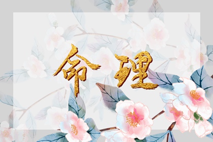 365日历万年历 万年历一 万年历阳历查询表农历